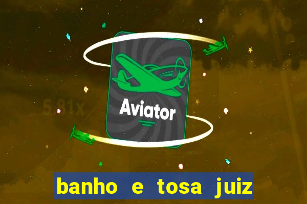 banho e tosa juiz de fora